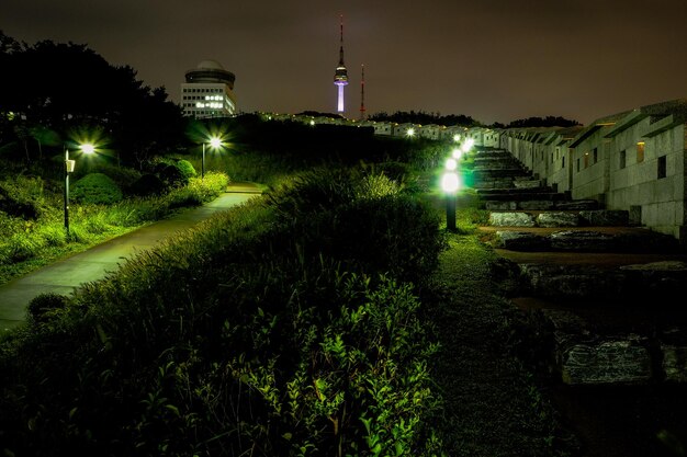 View on N Seoul Tower from a park by night