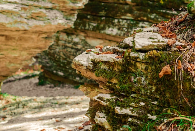 View in a narrow secluded canyon, natural labyrinth of layered stone with vegetation on the walls