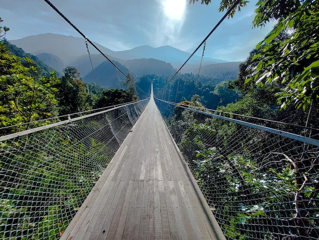 View of the natural tourist area of the Pangrango Mountains the ancient valley suspension bridge the longest suspension bridge in Asia