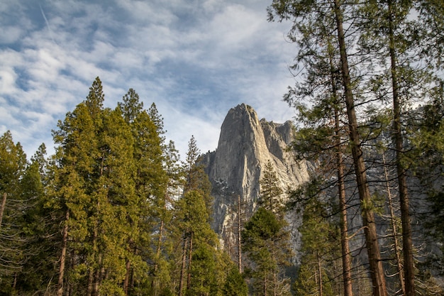 Vista del paesaggio della natura al parco nazionale di yosemite in inverno, usa per lo sfondo della natura