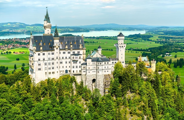 View of neuschwanstein castle and forggensee lake in southwest bavaria germany