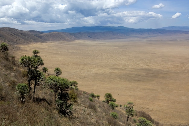 View on the Ngorongoro Crater, tanzania