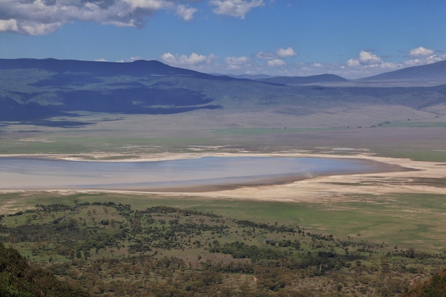 Ngorongoro 국립 공원, 탄자니아에서보기