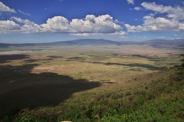 タンザニアンゴロンゴロ国立公園の眺め