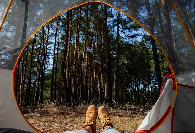 View at night of forest from tent