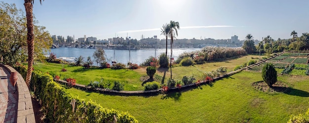 Vista del fiume nilo a mezzogiorno nell'area verde di aswan, egypt