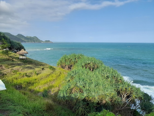 A view of the ocean from the beach