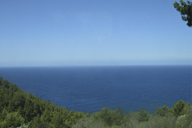 a view of the ocean from the top of a hill