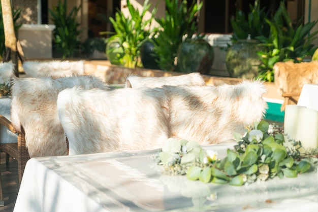 写真 眠っている犬の景色