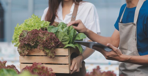 사진 태블릿을 사용하여 온실에서 매력적인 농부의 보기