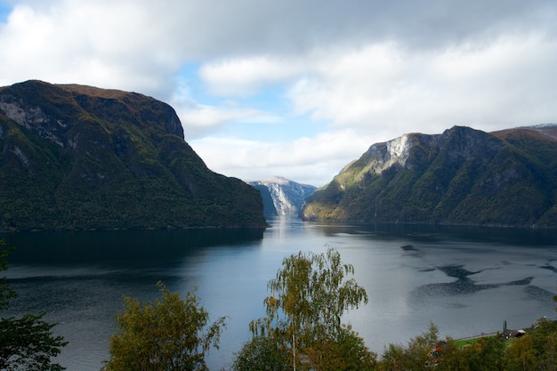 Фото Вид на красивый норвежский фьорд с лесными скалами.