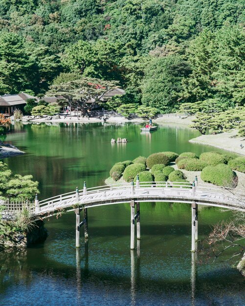 写真 湖の鳥の景色