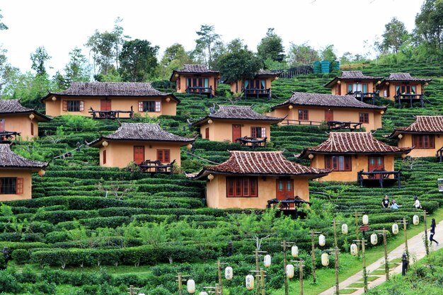 写真 建物の景色