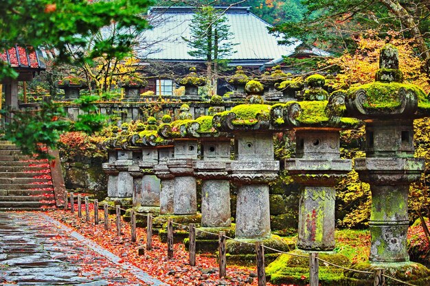 写真 樹木に照らされた建造物の景色