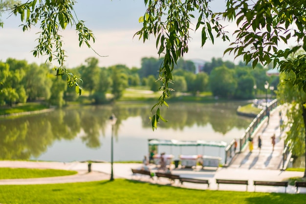 Фото Вид на спокойное озеро на фоне деревьев