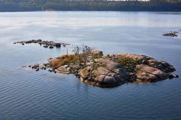 写真 湖の近くの岩の上にあるカニの景色