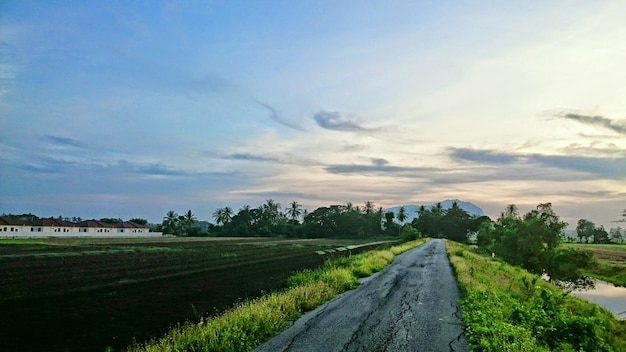 写真 畑を通過する割れた土路の景色