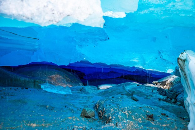 写真 海中の魚の景色