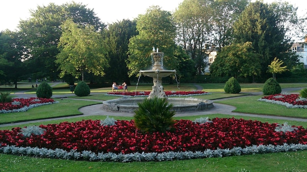 Фото Вид на официальный сад