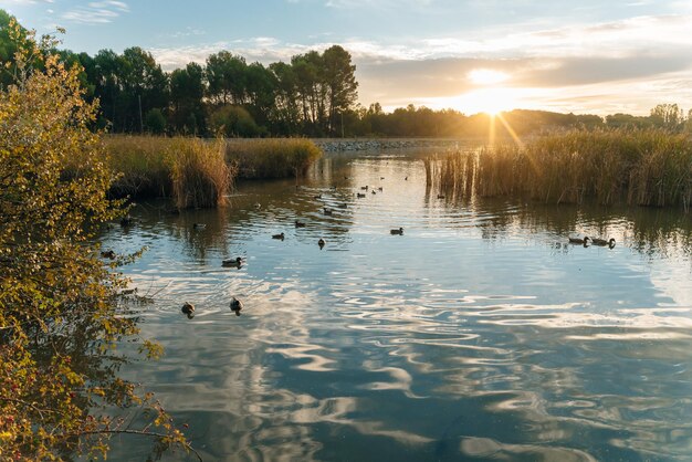写真 スペインのログロノにあるラ・グラジェラ貯水池の景色