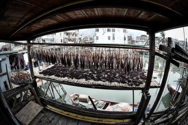 写真 魚の市場のスタンドの景色