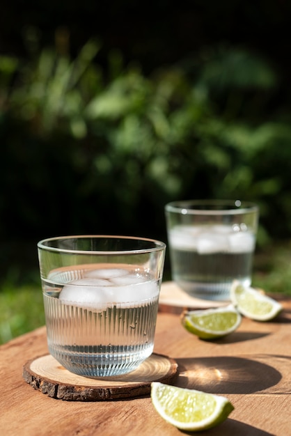 写真 メキシコのソトール飲み物の景色