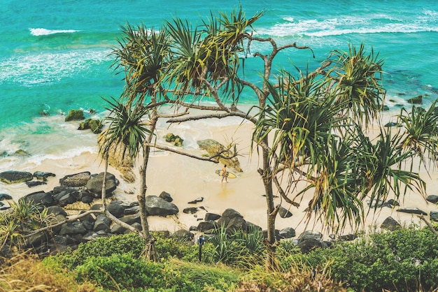 Фото Вид пальмовых деревьев на берегу моря