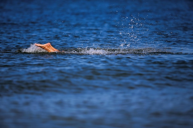 写真 海で泳いでいる人の景色