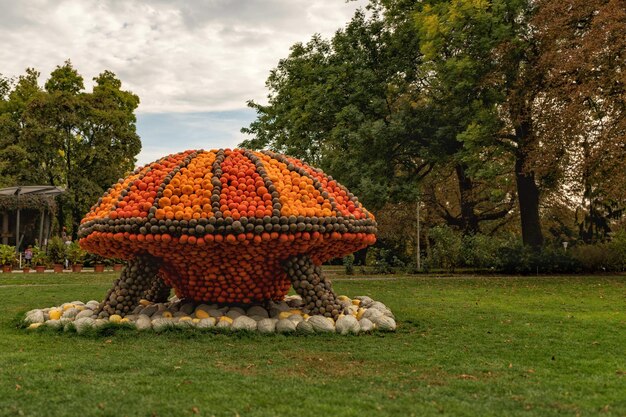 写真 空に向かって公園の南瓜の景色