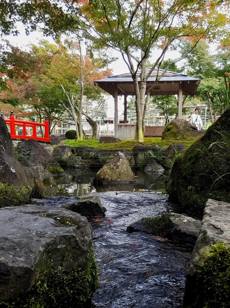 写真 公園の木の向こうの川の景色