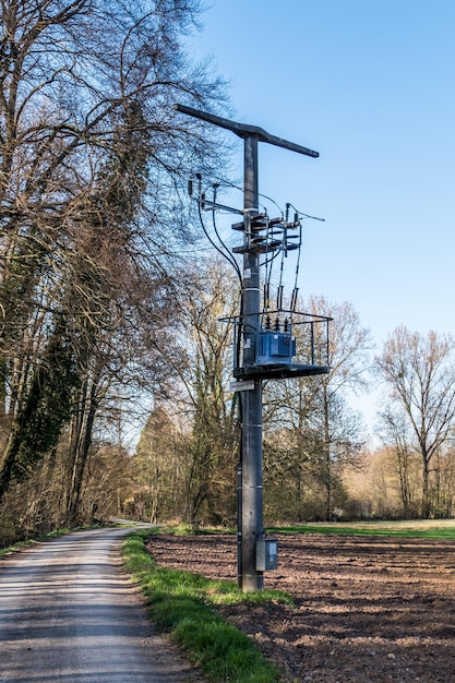 写真 明るい空を背景に畑の木の間にある道路の景色