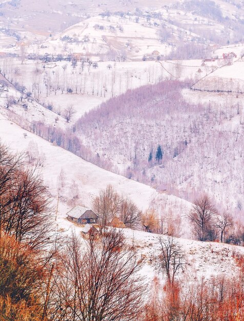 写真 雪に覆われた景色の景色