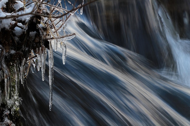 写真 雪で覆われた木々の景色