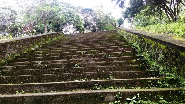 写真 階段の景色