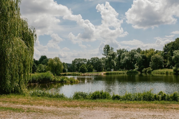 Фото Вид на озеро и лес