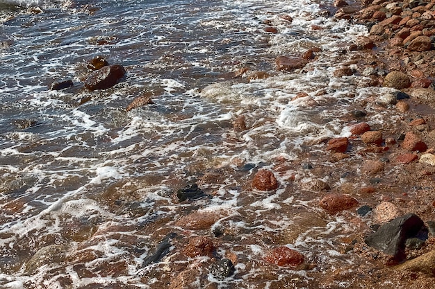 Фото Вид на берег красного моря, галечный пляж и ками вблизи. концентрация досуга, египет, дахаб