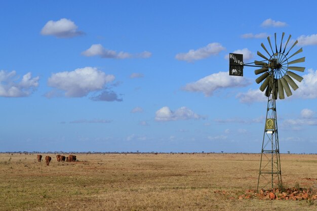 Фото Вид традиционной ветряной мельницы на поле