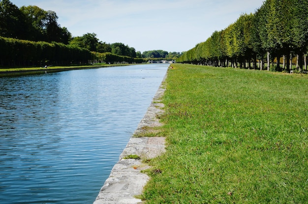 写真 公園の木の景色