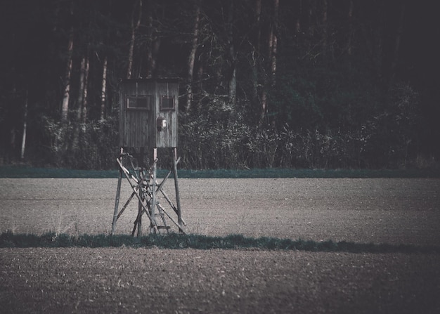 写真 畑の木の景色