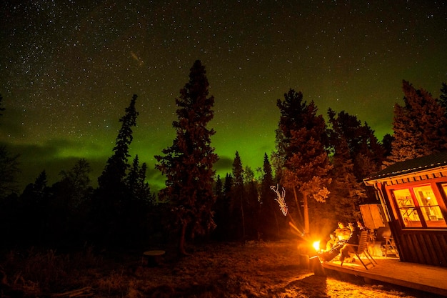 写真 夜の風景の木の景色