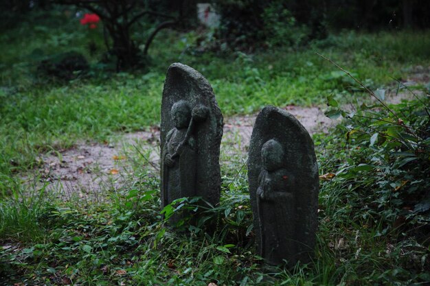 Фото Вид на два исторических надгробных камня