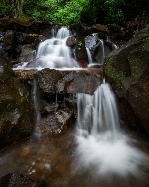 Фото Вид водопада в лесу