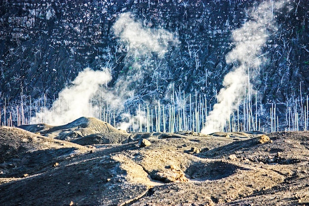 写真 の景色