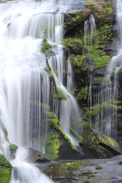 Фото Вид на водопад