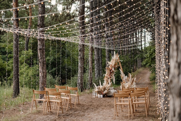 写真 森の木製の椅子と木の景色