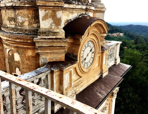 Foto vista della vecchia storica torre dell'orologio dagli alberi