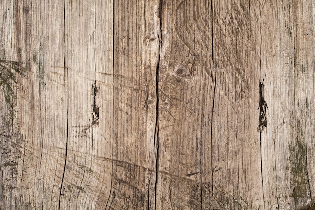 View of old rough wooden texture with natural patterns