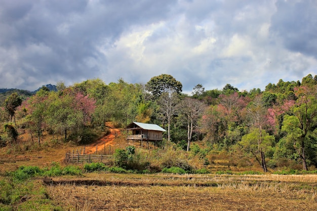 山の中の古い木造の小屋の小屋の眺め