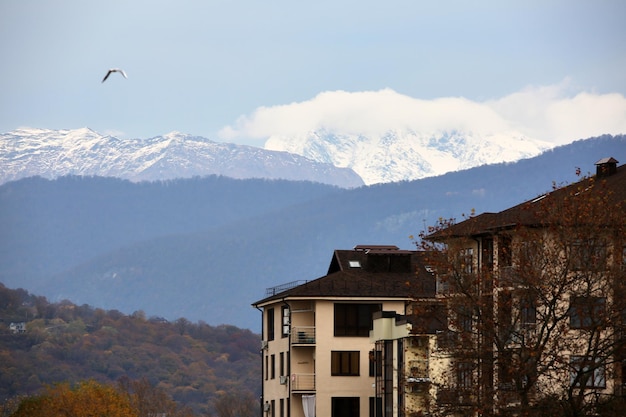 写真 アドラーの街とその横にあるローザ クトールの山々を眺めます。