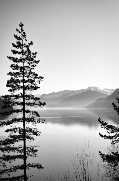 View of Oppstrynsvatnet lake in Norway in the morning hours in black and white